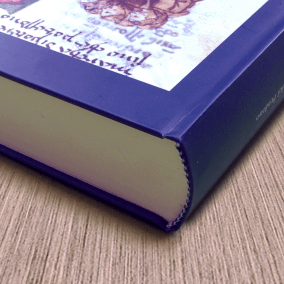 Libro in Brossura con copertina cartonata, Stampare libri bilanci online